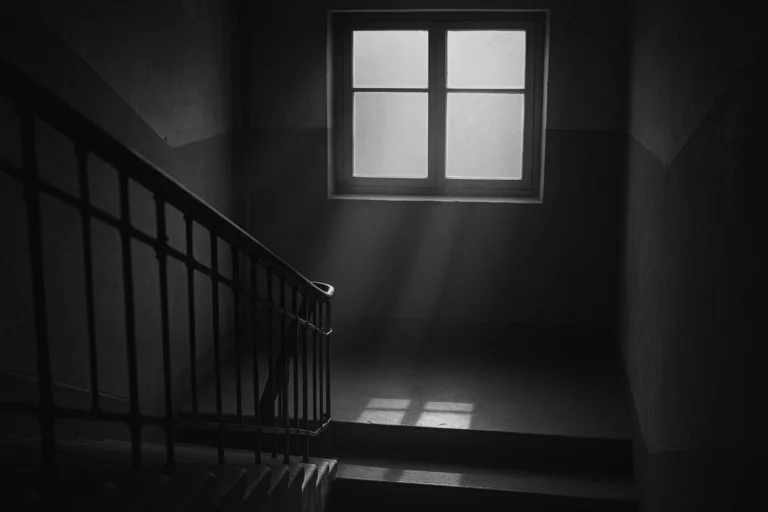 개인회생 재산조회, 법원은 내 재산을 어디까지 볼까